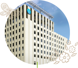 日本医科大学付属病院との連携